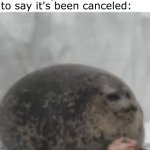 Waiting seal | Netflix: announces an animated show that looks really good; Me waiting for them to say it's been canceled: | image tagged in waiting seal,scumbag netflix,netflix,why are you reading the tags | made w/ Imgflip meme maker