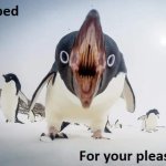 Penguin teeth rubbed for your pleasure