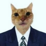 cat in suit template