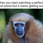 Unsettled monkey | When you start watching a perfectly good anime but it starts getting sus.... | image tagged in unsettled monkey | made w/ Imgflip meme maker