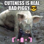 Dirty pig(´・ω・`) | CUTENESS IS REAL; BAD PIGGY 😎; (´・Ω・`) | image tagged in pig in mud | made w/ Imgflip meme maker