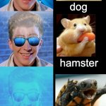 Rick Astley Becoming Canny | your pet; you have no pet; fish; cat; dog; hamster; turtle; spider; fox; wolf; lion | image tagged in rick astley becoming canny,pets,funny memes | made w/ Imgflip meme maker