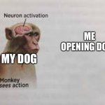Neuron activation | MY DOG ME OPENING DOOR | image tagged in neuron activation | made w/ Imgflip meme maker