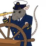 Captain rat