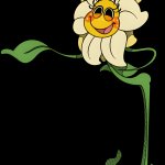 Daisy