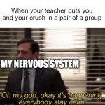 Well, it doesn't happen to me and I don't have one. | When your teacher puts you and your crush in a pair of a group MY NERVOUS SYSTEM | image tagged in oh my god okay it's happening everybody stay calm | made w/ Imgflip meme maker