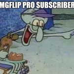 imgflip pro subscriber!