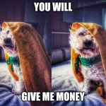 You will give me money | YOU WILL; GIVE ME MONEY | image tagged in leo the jedy | made w/ Imgflip meme maker