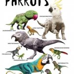 Prehistoric parrots