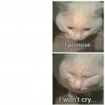 i promise i wont cry template