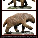 Giant ground sloth