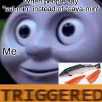 Triggered | When people say "sal-min" instead of "saya-min"; Me: | image tagged in triggered | made w/ Imgflip meme maker