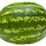 Watermelon (transparent background)