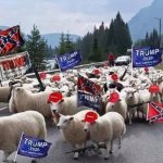 Trump's sheeple protesting riot white supremacist