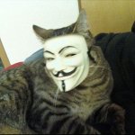 Cat in Guy Fawkes Mask