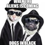 Blues Brothers Animals | WHEN THE ALIENS IS COMING; DOGS IN BLACK | image tagged in blues brothers animals | made w/ Imgflip meme maker