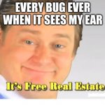 It's Free Real Estate | EVERY BUG EVER WHEN IT SEES MY EAR | image tagged in it's free real estate | made w/ Imgflip meme maker
