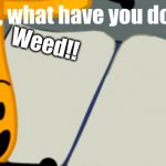 FIREY WHAT HAVE YOU DONE? | Firey, what have you done?! Weed!! | image tagged in bfdi is back book | made w/ Imgflip meme maker