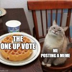 Posting memes | THE ONE UP VOTE; ME POSTING A MEME | image tagged in cat likes their waffle | made w/ Imgflip meme maker