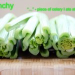 Crunchy’s announcement temp!!