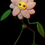 Daisy HD