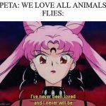 Random 2022 Peta Meme | PETA: WE LOVE ALL ANIMALS
FLIES: | image tagged in sailor moon,love,flies,goth memes,goth,funny memes | made w/ Imgflip meme maker