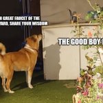 Good boy | OH GREAT FAUCET OF THE BACKYARD, SHARE YOUR WISDOM; THE GOOD BOY IS YOU | image tagged in faucet of the backyard share your wisdom,dog,funny,memes,fun,good boy | made w/ Imgflip meme maker