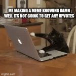 Relatable for many users | ME MAKING A MEME KNOWING DAMN WELL ITS NOT GOING TO GET ANY UPVOTES | image tagged in gifs,memes,funny,cat,computer | made w/ Imgflip video-to-gif maker