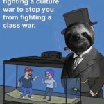 sloth culture war
