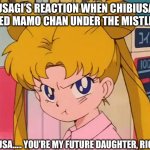 Don’t kiss my Mamo Chan! | USAGI’S REACTION WHEN CHIBIUSA KISSED MAMO CHAN UNDER THE MISTLETOE! CHIBIUSA….. YOU’RE MY FUTURE DAUGHTER, RIGHT?! | image tagged in sailor moon,memes,pout | made w/ Imgflip meme maker