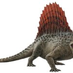 Dimetrodon (JWD Design)