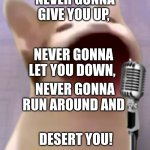 Rick roll! | NEVER GONNA GIVE YOU UP, NEVER GONNA LET YOU DOWN, NEVER GONNA RUN AROUND AND; DESERT YOU! | image tagged in rick catley | made w/ Imgflip meme maker