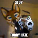 Furry with gun | STOP; FURRY HATE | image tagged in furry with gun | made w/ Imgflip meme maker