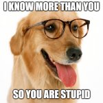 smart dog | I KNOW MORE THAN YOU; SO YOU ARE STUPID | image tagged in smart dog | made w/ Imgflip meme maker