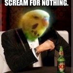 The Most Interesting Bird in the World | I DON'T ALWAYS SCREAM FOR NOTHING. JUST KIDDING. I DO. | image tagged in the most interesting bird in the world,the most interesting man in the world,parakeets,budgies,birbs | made w/ Imgflip meme maker