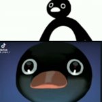 pingu