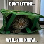 Don't Let the Cat Out  of the Bag | DON'T LET THE... WELL, YOU KNOW... | image tagged in don't let the cat out of the bag | made w/ Imgflip meme maker