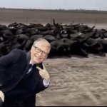 Bill Gates killing cows meme