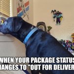 Out for delivery | WHEN YOUR PACKAGE STATUS CHANGES TO "OUT FOR DELIVERY" | image tagged in waiting dog,package,delivery | made w/ Imgflip meme maker