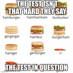 this meme | THE TEST ISN'T THAT HARD THEY SAY; THE TEST IN QUESTION | image tagged in hamburger grammar | made w/ Imgflip meme maker