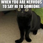 OH NOES | WHEN YOU ARE NERVOUS TO SAY HI TO SOMEONE: | image tagged in black cat oh no v2,funny | made w/ Imgflip meme maker