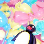 Pingu aesthetic