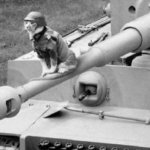 War Kitty