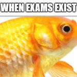 smh | WHEN EXAMS EXIST | image tagged in fish crap | made w/ Imgflip meme maker