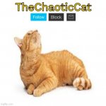 TheChaoticCat temp template