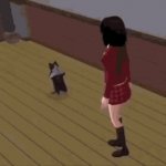 breakdancing cat GIF Template