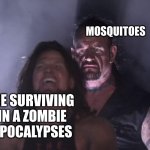 undertaker | MOSQUITOES ME SURVIVING IN A ZOMBIE APOCALYPSES | image tagged in undertaker | made w/ Imgflip meme maker