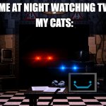 me at night | MY CATS:; ME AT NIGHT WATCHING TV | image tagged in fnaf2 office | made w/ Imgflip meme maker