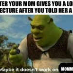Mom. | AFTER YOUR MOM GIVES YOU A LONG LIFE LECTURE AFTER YOU TOLD HER A JOKE. MOMMYS. | image tagged in maybe it doesn't work on donkeys | made w/ Imgflip meme maker