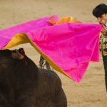 matador meme